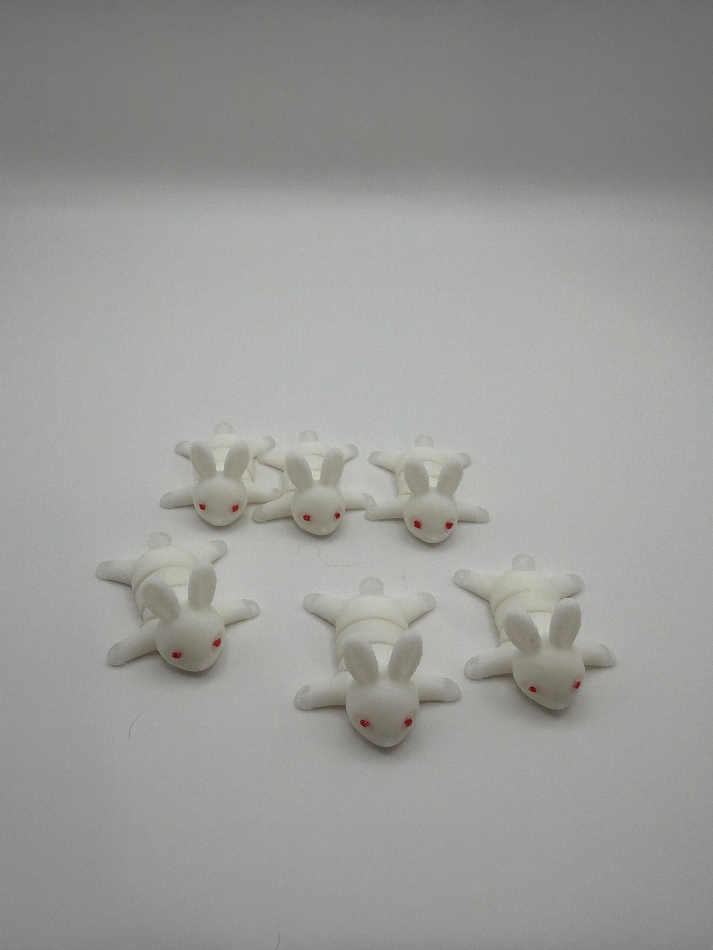 Mini Flexi Albino Bunny